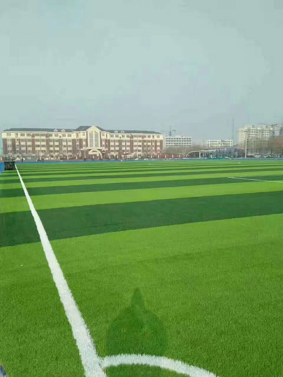漯河市透水跑道仿真草坪 - 一站式服务